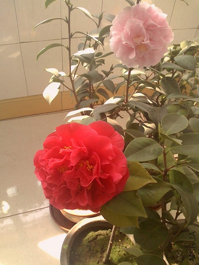 IMG0322103402_����.jpg