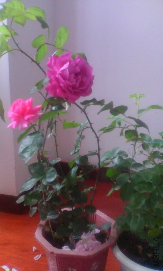 83695DC2A3BDBEE81C7FC3890EA0F9F4.jpg