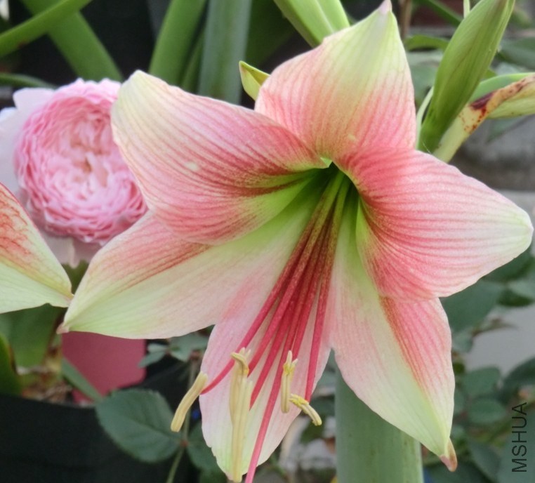 QQͼƬ20140508193825.jpg