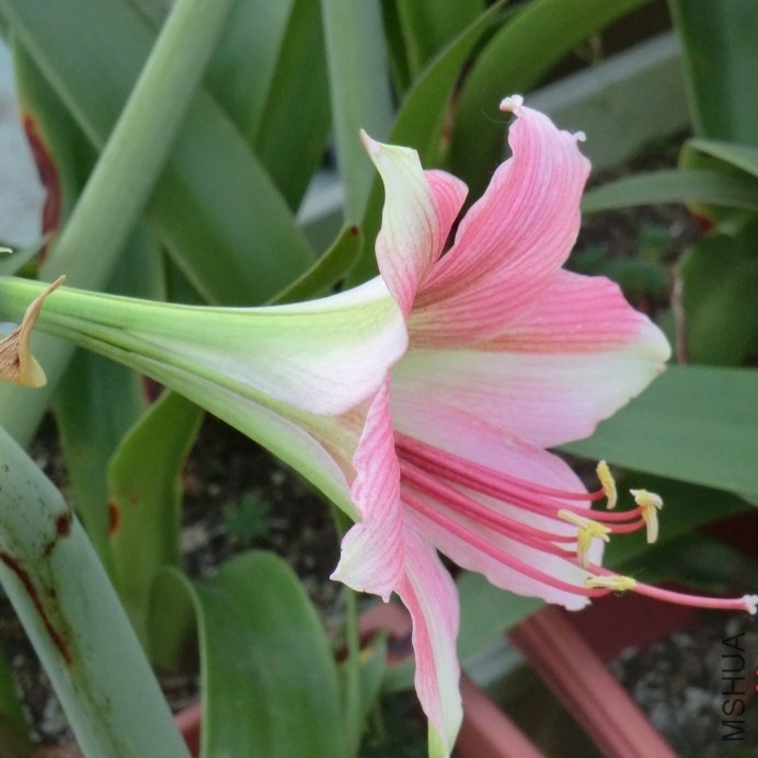 QQͼƬ20140508200013.jpg