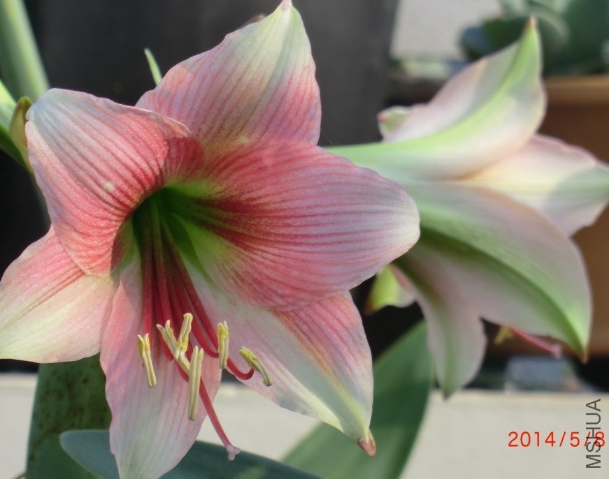 QQͼƬ20140508194853.jpg