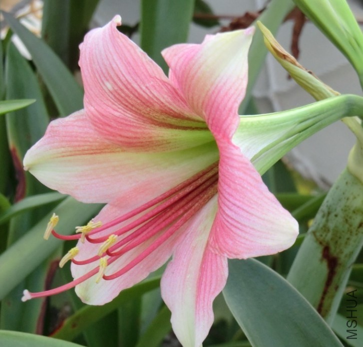 QQͼƬ20140508200032.jpg