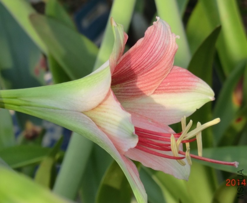 QQͼƬ20140510114313.jpg