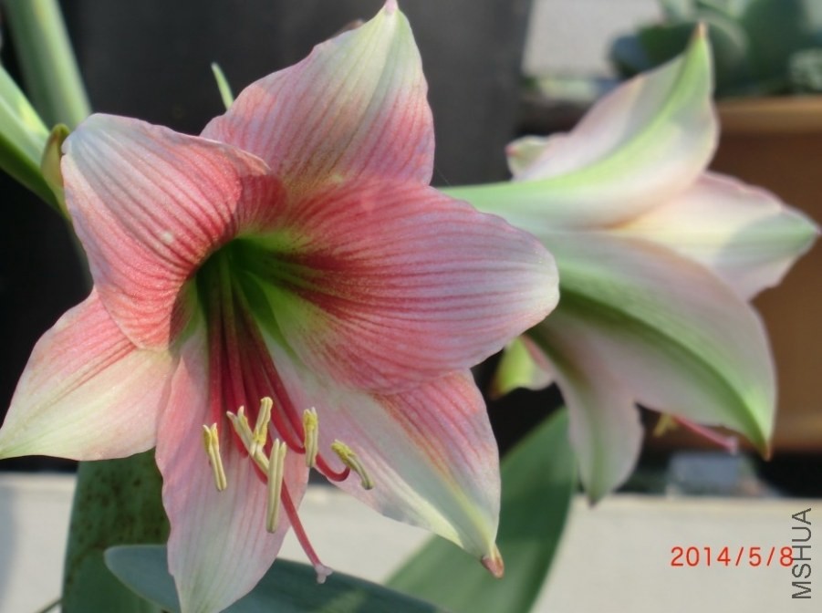QQͼƬ20140510114341.jpg