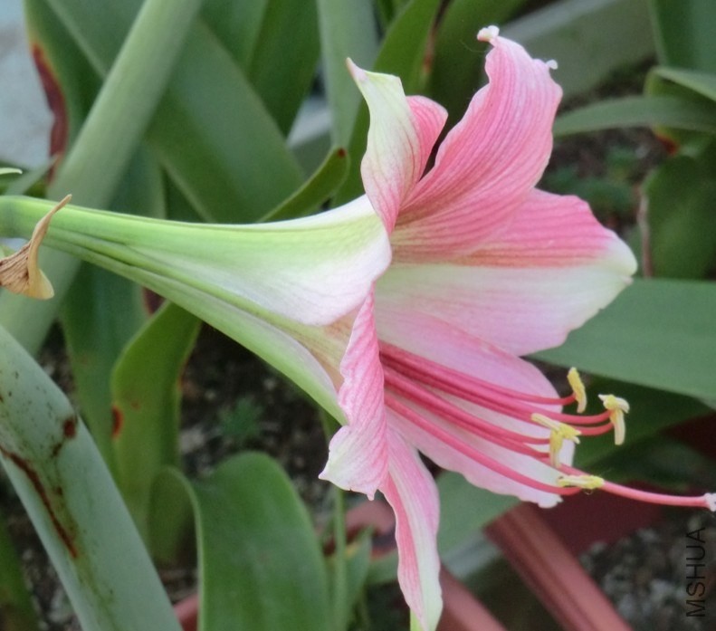 QQͼƬ20140510122544.jpg