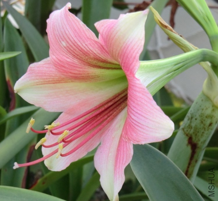 QQͼƬ20140510122635.jpg