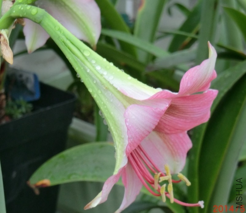 QQͼƬ20140510131249.jpg