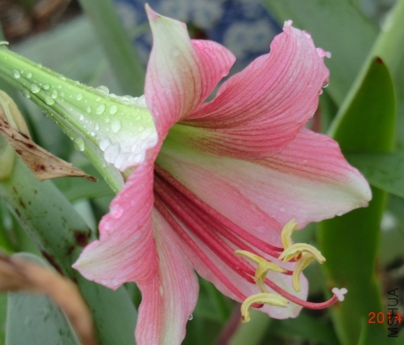 QQͼƬ20140510130250.jpg