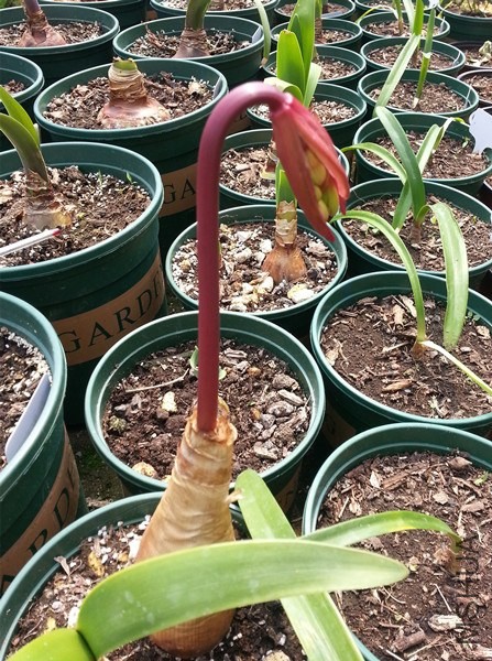 20140510_125625.jpg