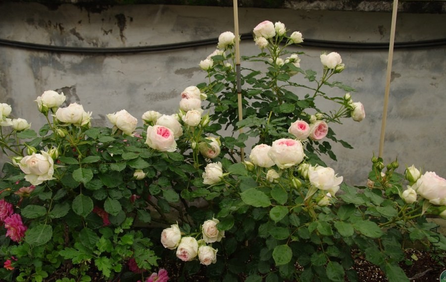 QQ��ͼ20140510214155.jpg