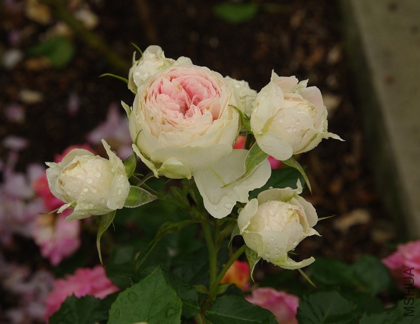 QQ��ͼ20140510214205.jpg