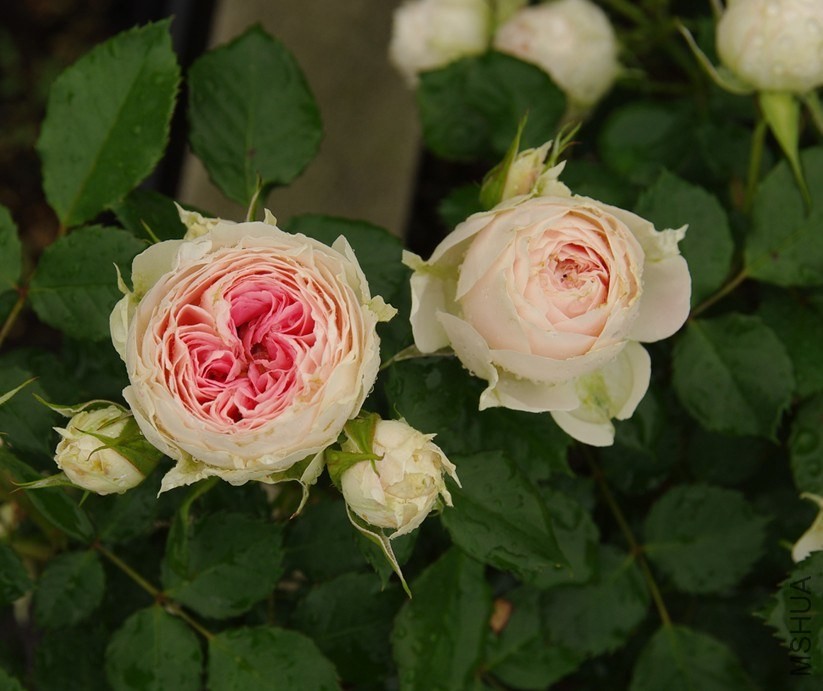 QQ��ͼ20140510214214.jpg