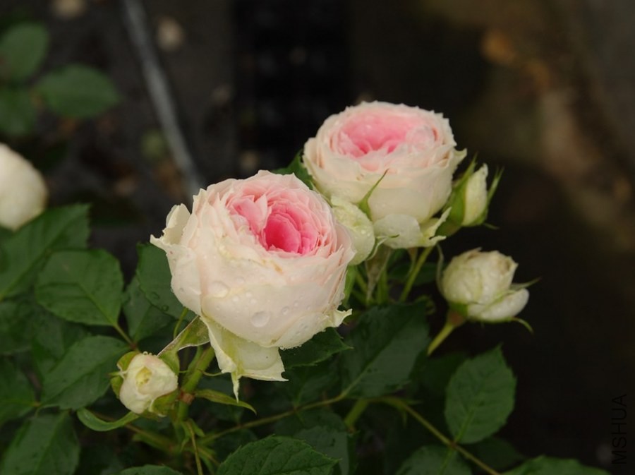 QQ��ͼ20140510214230.jpg