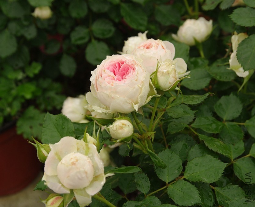 QQ��ͼ20140510214241.jpg