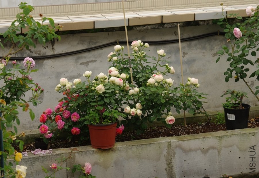 QQ��ͼ20140510214309.jpg