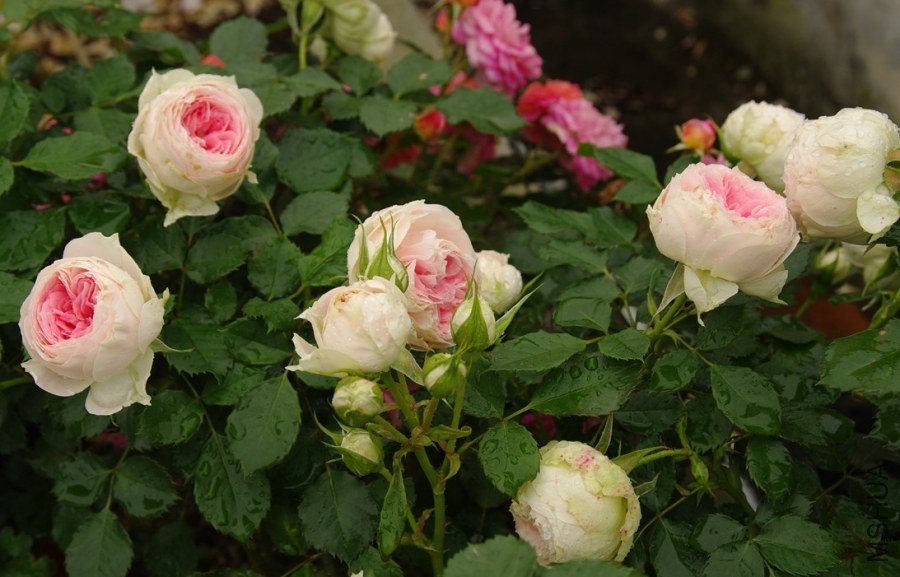 QQ��ͼ20140510214808.jpg