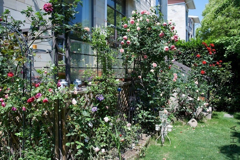 ������С ������С SPR_9398.jpg