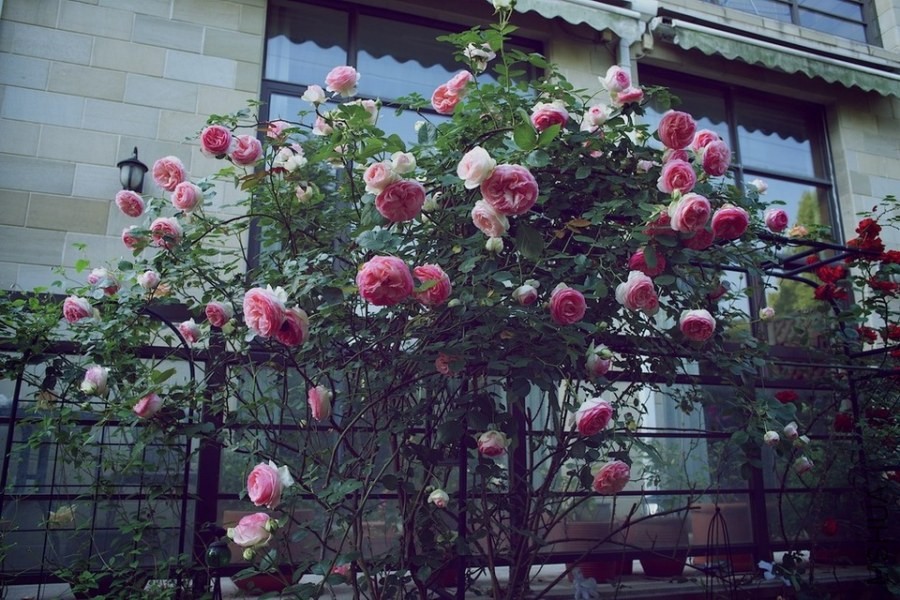 ������С ������С SPR_9415.jpg