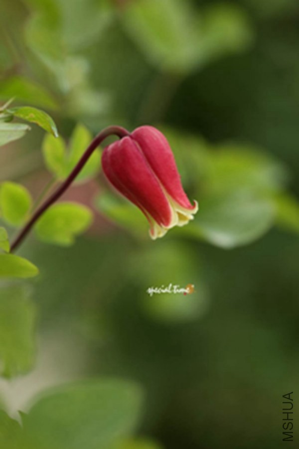ӣ�Ҵ�7.jpg