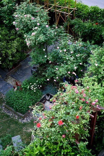 ������С SPR_9073.jpg