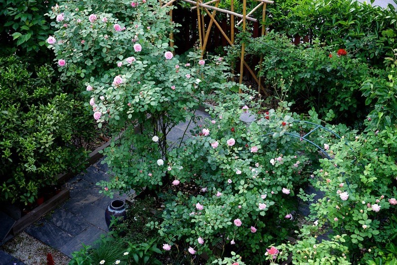 ������С SPR_9074.jpg