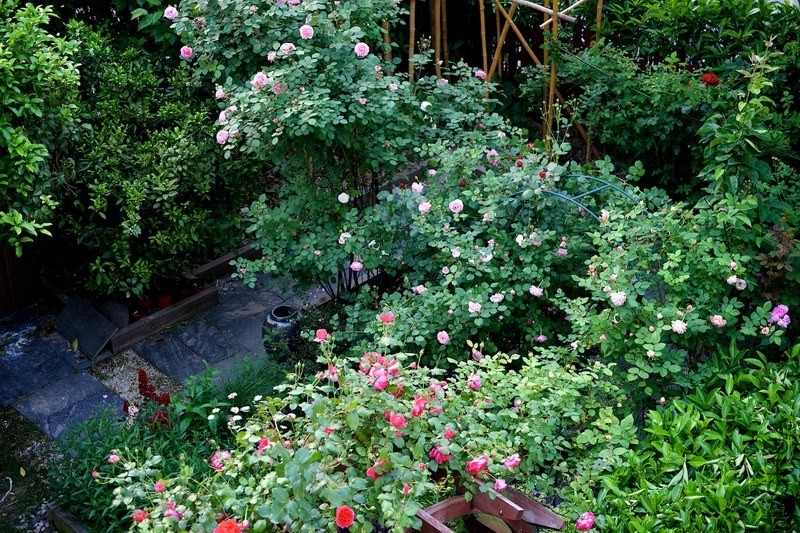 ������С SPR_9079 (1).jpg