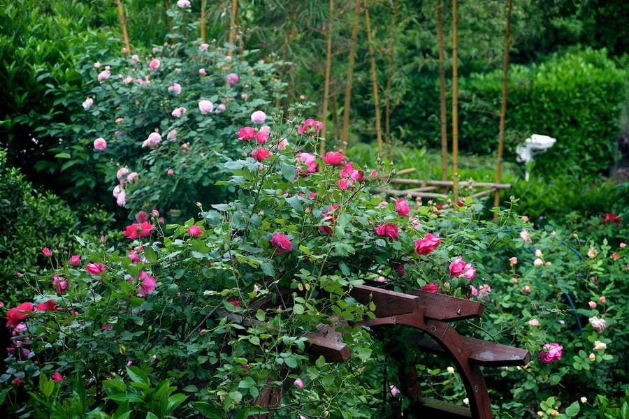 ������С SPR_9094.jpg