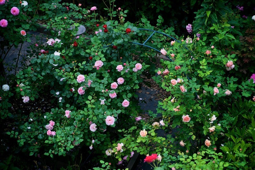 ������С SPR_9319.jpg