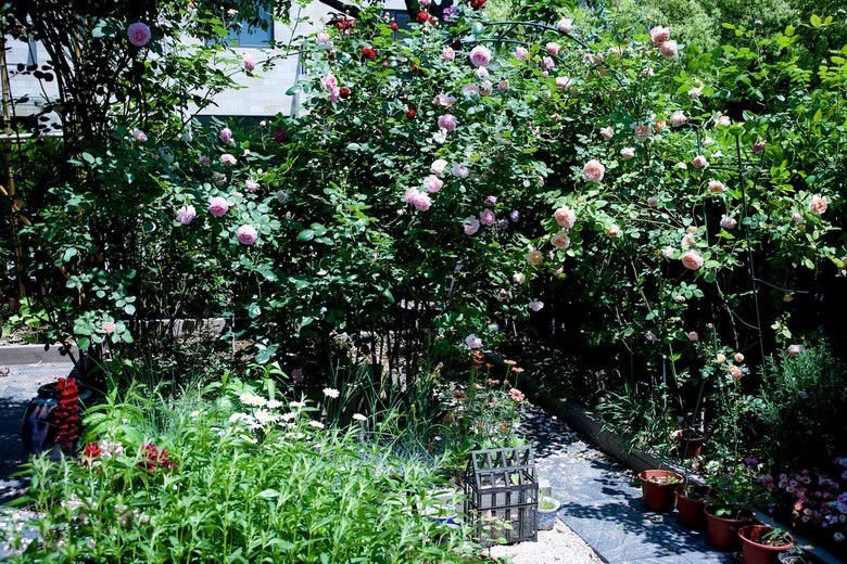 ������С SPR_9332.jpg