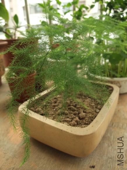2012-07 (9).jpg