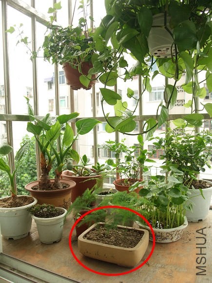 2012-07 (12).jpg