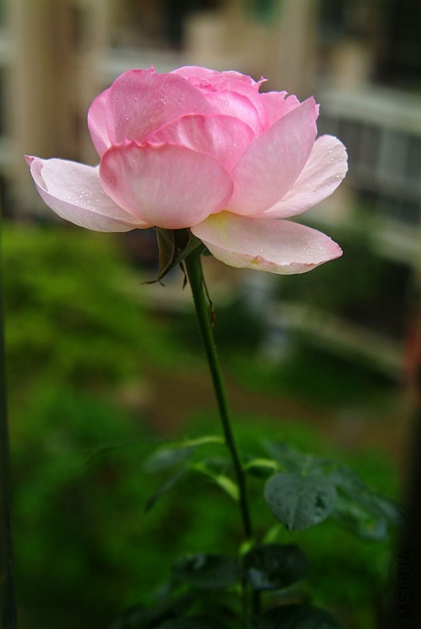 DSCF0034.jpg