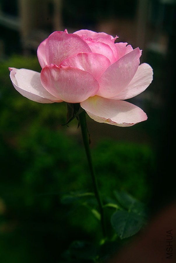 DSCF0050.jpg