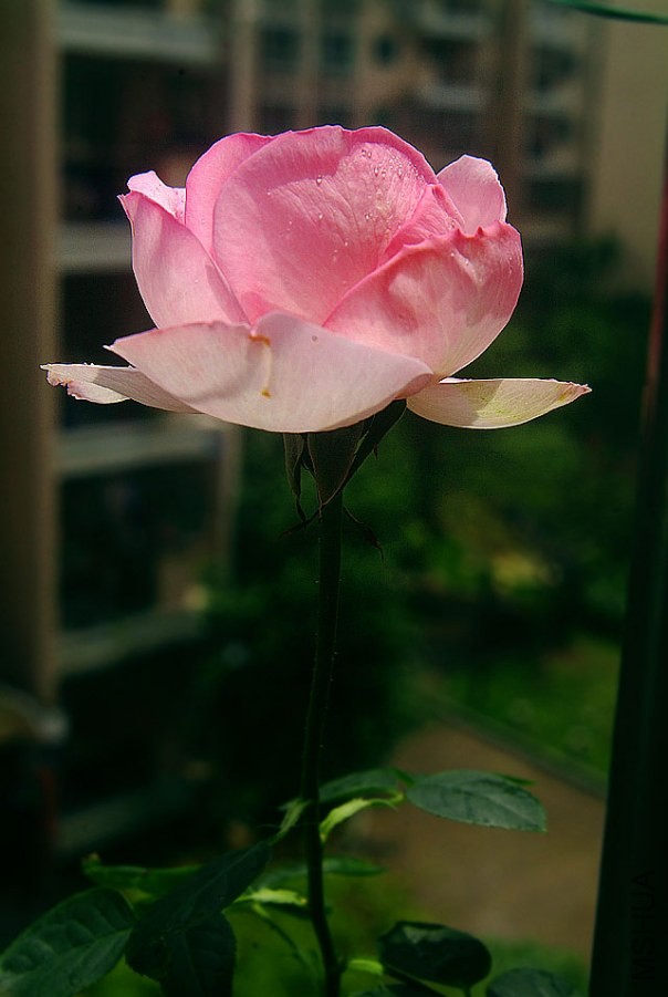 DSCF0047.jpg