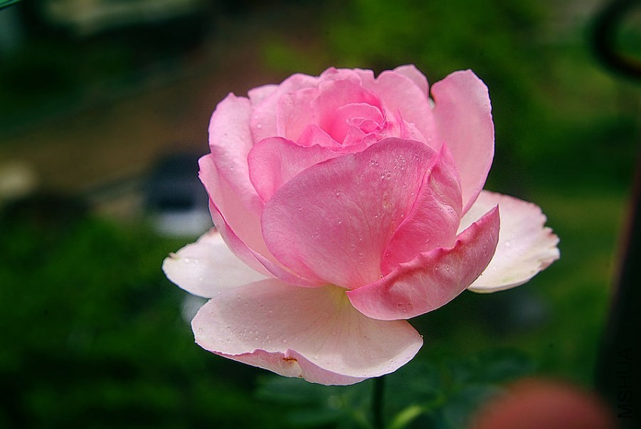 DSCF0044.jpg