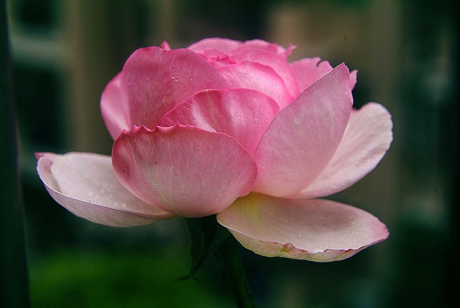 DSCF0058.jpg