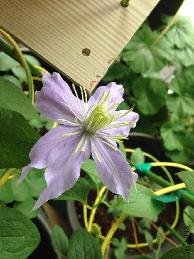 QQ��ͼ20140511151244.jpg