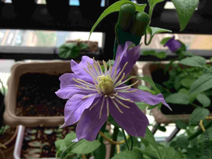 QQ��ͼ20140511151312.jpg