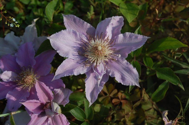 DSC_06140614.JPG