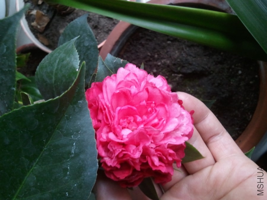 2014-05-10 17.43.08_1.jpg