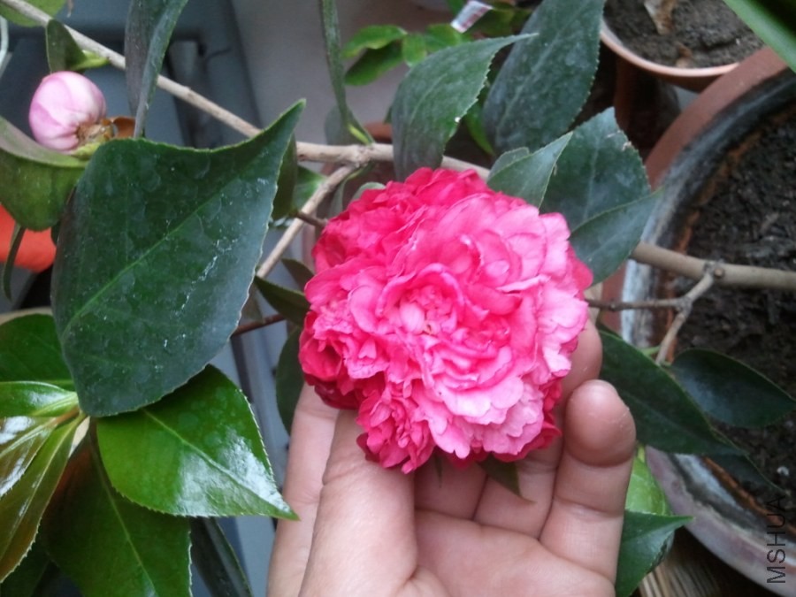 2014-05-10 17.43.33_1.jpg