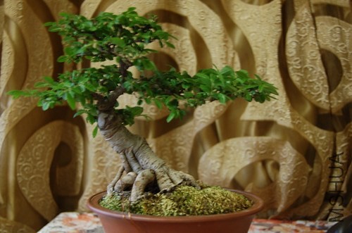 ��Ƭ 311_����.jpg