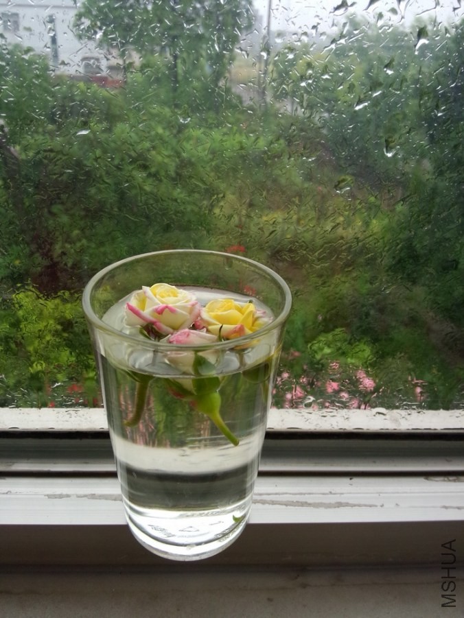 IMG20140511102955_������С.jpg