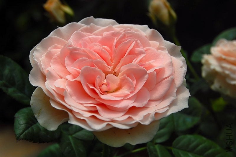 DSC_00720072.JPG