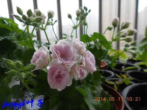 �ܿˣ�3��_����.jpg