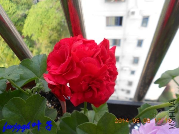 ��Ů�ף�4��_����.jpg