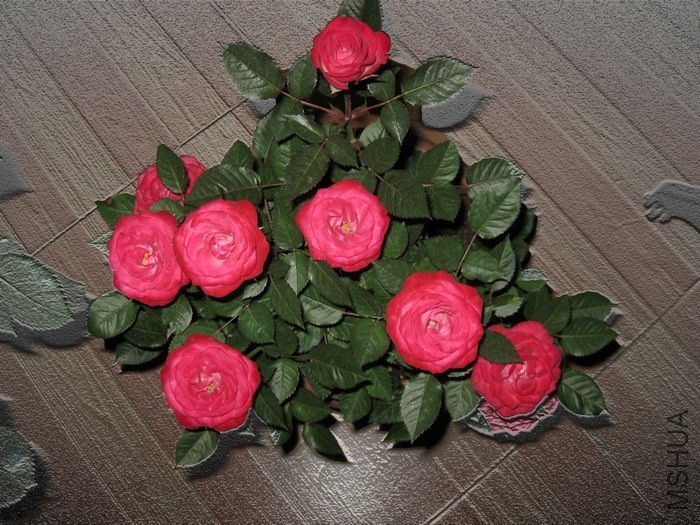��Ƭ 019.jpg