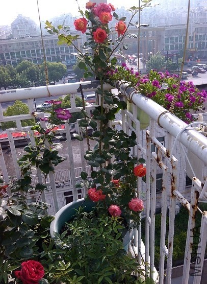 QQͼƬ20140512094841.jpg