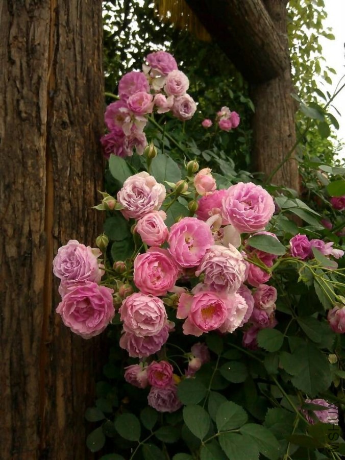 QQͼƬ20140512110057.jpg