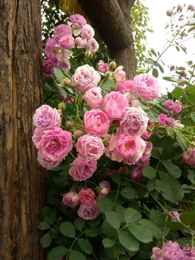 QQͼƬ20140512110105.jpg